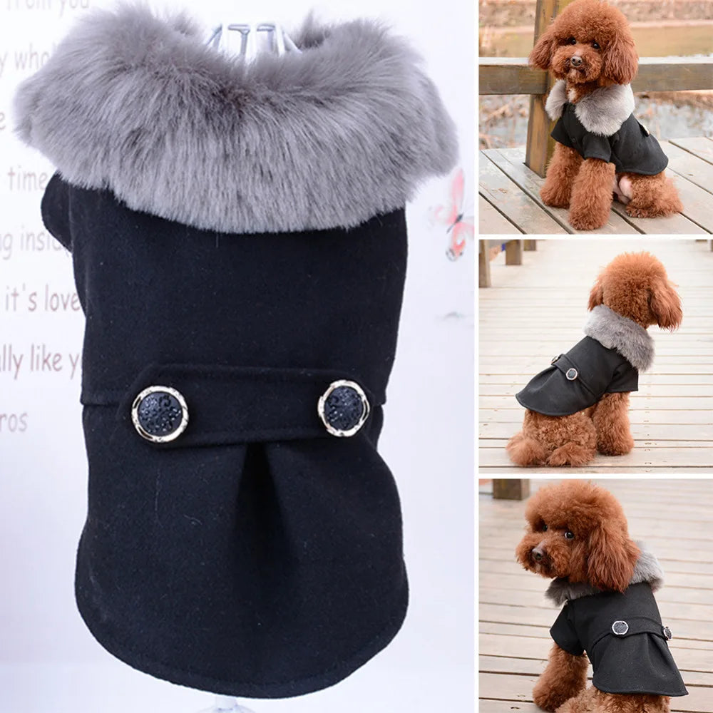Ropa de invierno para perro, chaqueta con cuello de piel para gato, suéter acolchado cálido para cachorro, perros pequeños y medianos
