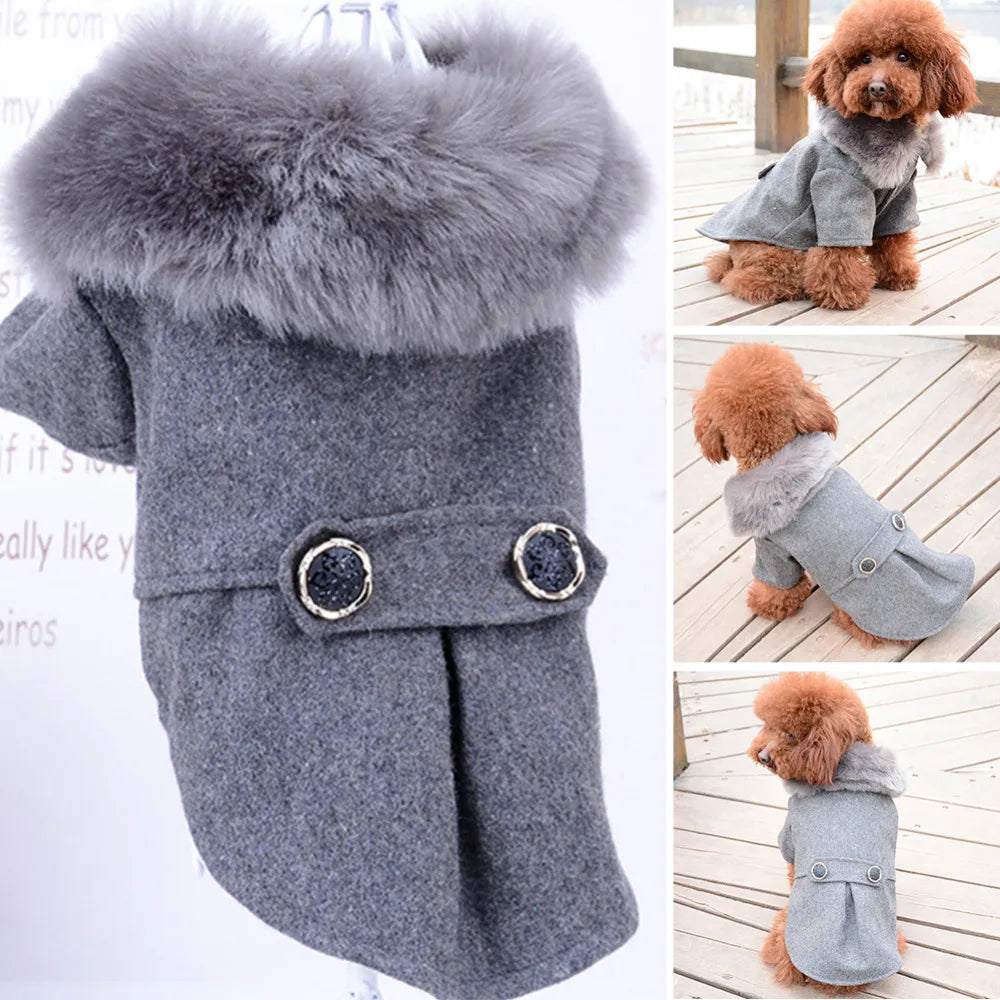 Ropa de invierno para perro, chaqueta con cuello de piel para gato, suéter acolchado cálido para cachorro, perros pequeños y medianos