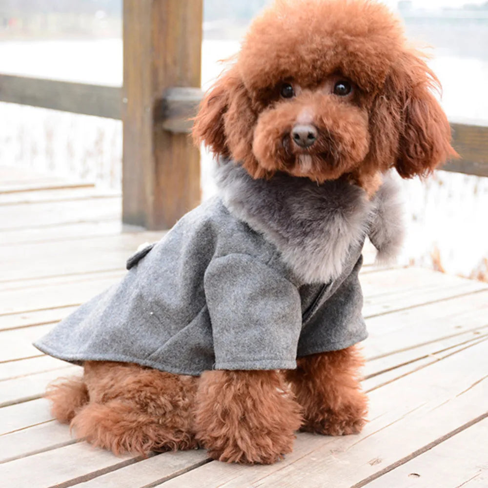 Ropa de invierno para perro, chaqueta con cuello de piel para gato, suéter acolchado cálido para cachorro, perros pequeños y medianos