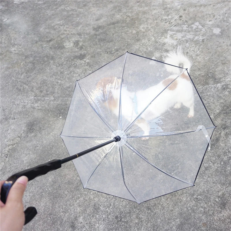 Paraguas transparente para perro pequeño, cadena de hierro con correa, chubasquero, paquete bonito, suministros para mascotas, novedad