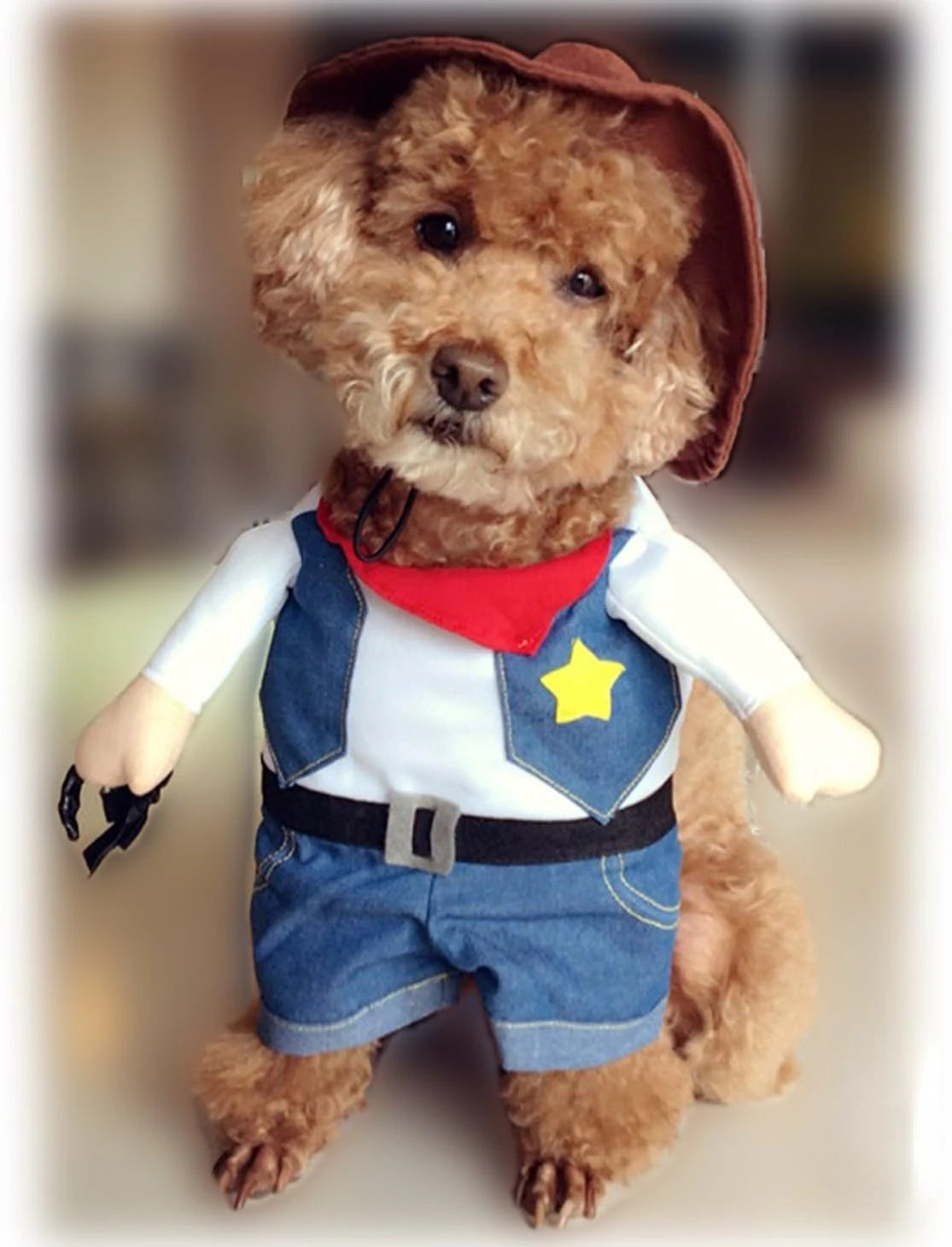 Disfraz de Halloween para Mascotas, Traje de Vaquero del Oeste con Sombrero, Ropa Divertida para Gatos y Perros Pequeños, Disfraz de Vaquero Adorable