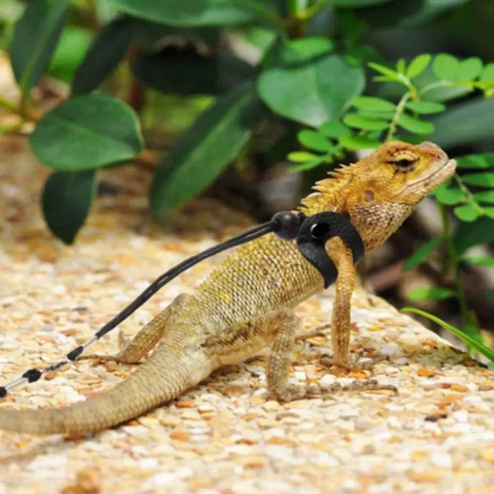 Arnés Ajustable para Reptiles - Correa Suave y Cómoda para Dragones Barbudos y Mascotas Pequeñas