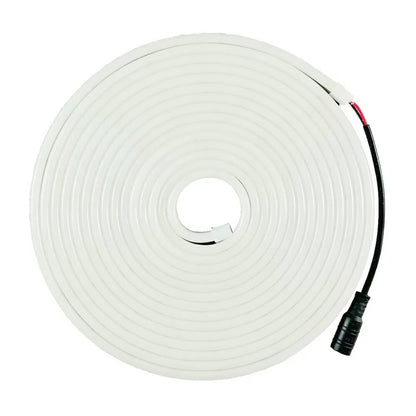 Tira Neón Flex 5 Mts + Eliminador de corriente