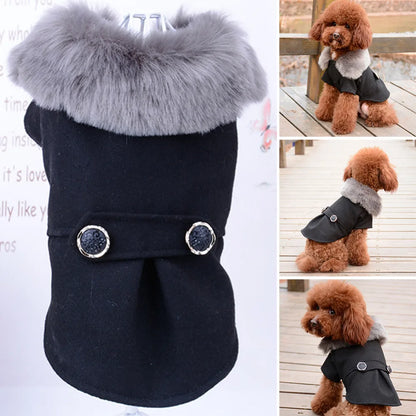 Ropa de invierno para perro, chaqueta con cuello de piel para gato, suéter acolchado cálido para cachorro, perros pequeños y medianos