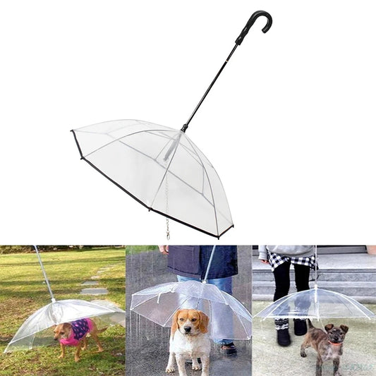 Paraguas transparente para perro pequeño, cadena de hierro con correa, chubasquero, paquete bonito, suministros para mascotas, novedad
