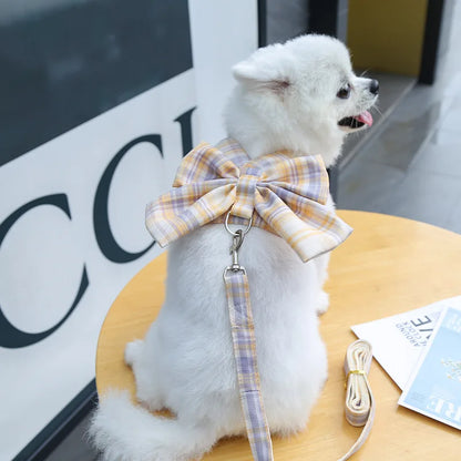 Conjunto de Arnés y Correa para Perro, Ajustable, con Lazo y Diseño Adorable, Sin Tirones, Correa Suave de Malla, Collar para Cachorro, Paseo al Aire Libre