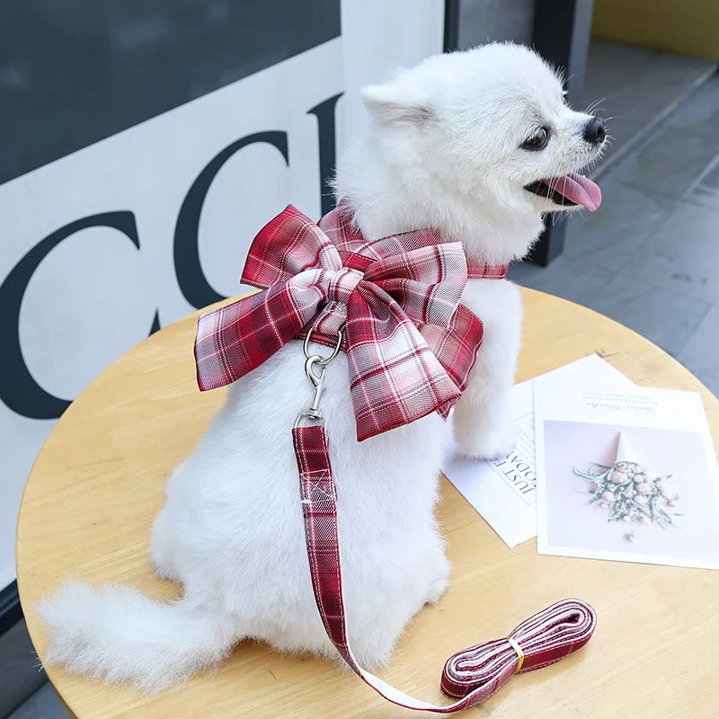 Conjunto de Arnés y Correa para Perro, Ajustable, con Lazo y Diseño Adorable, Sin Tirones, Correa Suave de Malla, Collar para Cachorro, Paseo al Aire Libre