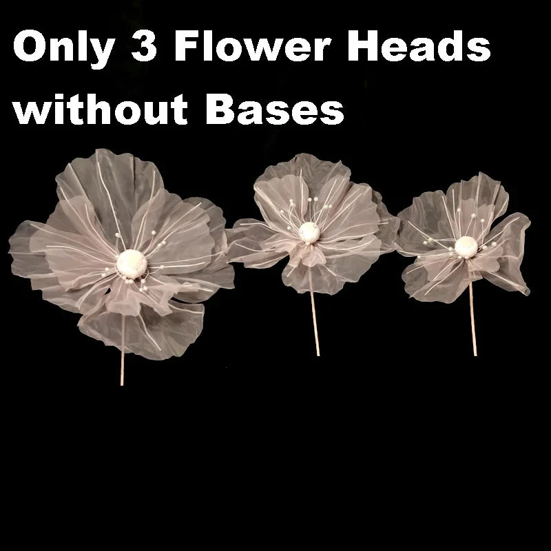 45697478820075