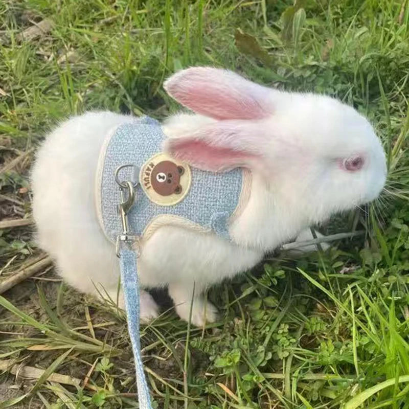 Conjunto de Arnés y Correa para Conejo, Chaleco Acolchado para Mascotas, Accesorios Lindos para Caminar al Aire Libre
