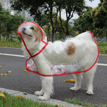 Impermeable para Perros - Moda Transparente con Detalles de Colores Personalizados para Razas Grandes