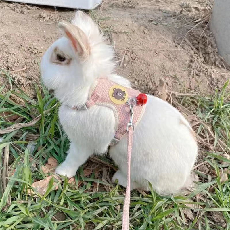 Conjunto de Arnés y Correa para Conejo, Chaleco Acolchado para Mascotas, Accesorios Lindos para Caminar al Aire Libre