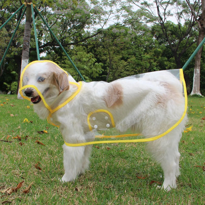Impermeable para Perros - Moda Transparente con Detalles de Colores Personalizados para Razas Grandes