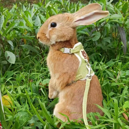 Conjunto de Arnés y Correa para Conejo, Chaleco Acolchado para Mascotas, Accesorios Lindos para Caminar al Aire Libre
