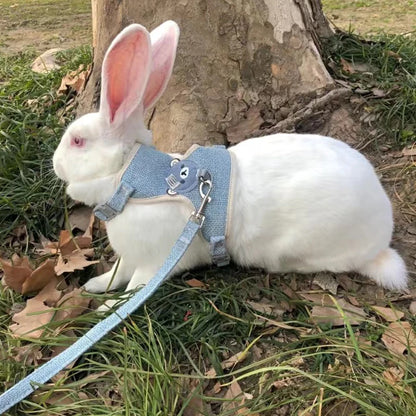 Conjunto de Arnés y Correa para Conejo, Chaleco Acolchado para Mascotas, Accesorios Lindos para Caminar al Aire Libre
