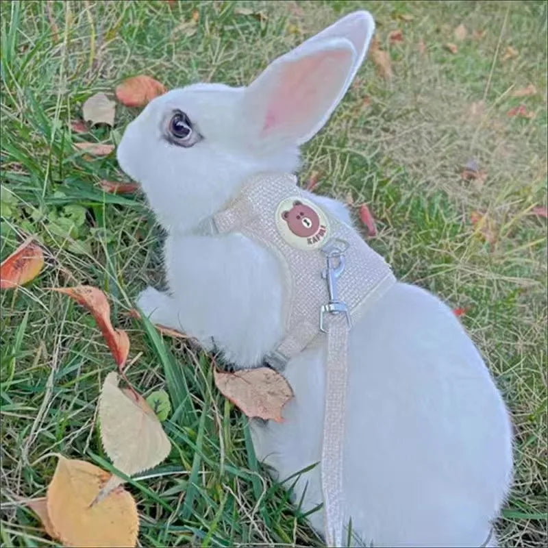 Conjunto de Arnés y Correa para Conejo, Chaleco Acolchado para Mascotas, Accesorios Lindos para Caminar al Aire Libre