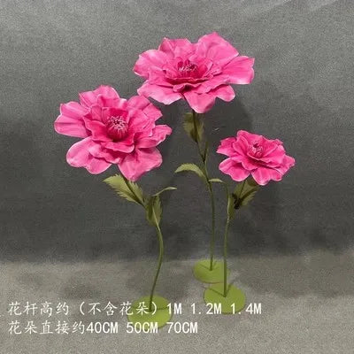 45697481343211