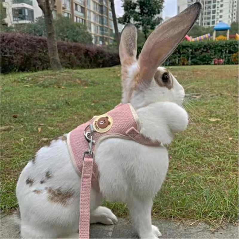 Conjunto de Arnés y Correa para Conejo, Chaleco Acolchado para Mascotas, Accesorios Lindos para Caminar al Aire Libre