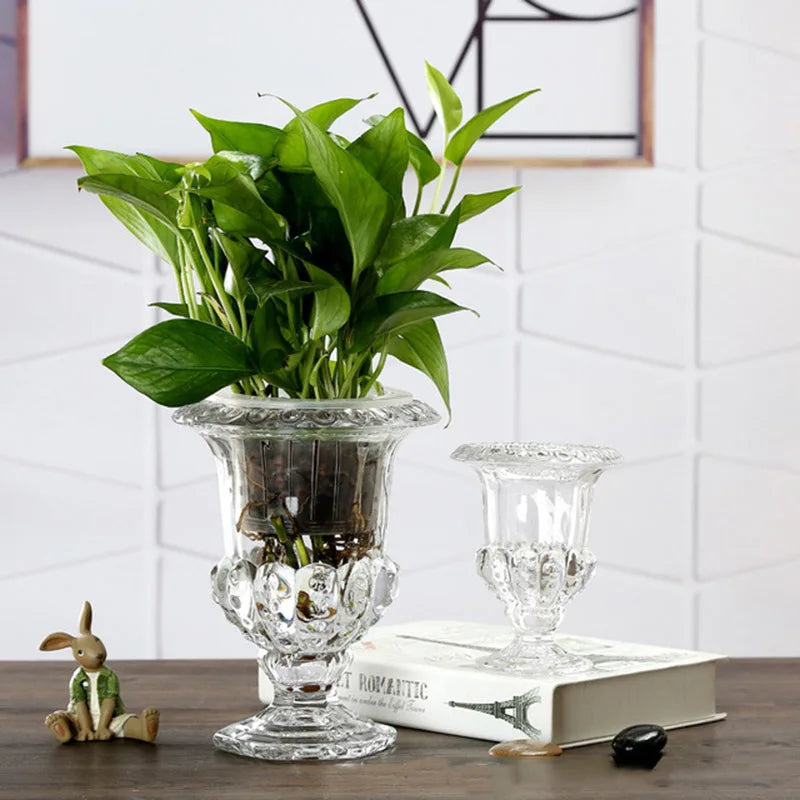 Florero de Vidrio Transparente – Jarrón Elegante para Decoración de Mesa y Plantas