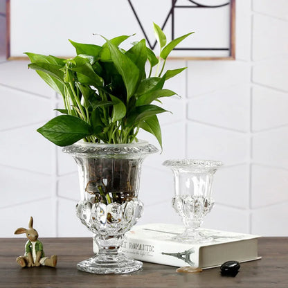 Florero de Vidrio Transparente – Jarrón Elegante para Decoración de Mesa y Plantas