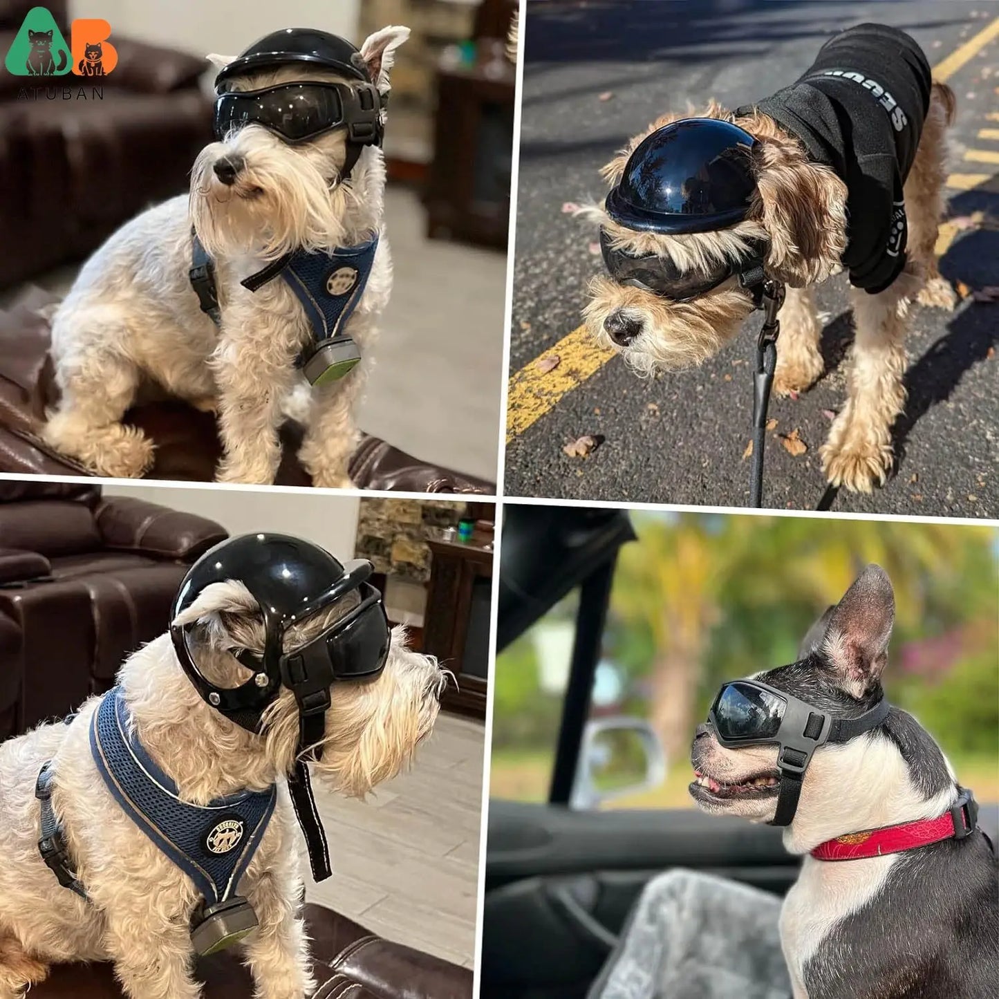ATUBAN casco y gafas para perros pequeños, casco de motocicleta para mascotas con orificios para las orejas, correas ajustables para montar cachorros