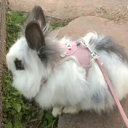 Conjunto de Arnés y Correa para Conejo, Chaleco Acolchado para Mascotas, Accesorios Lindos para Caminar al Aire Libre